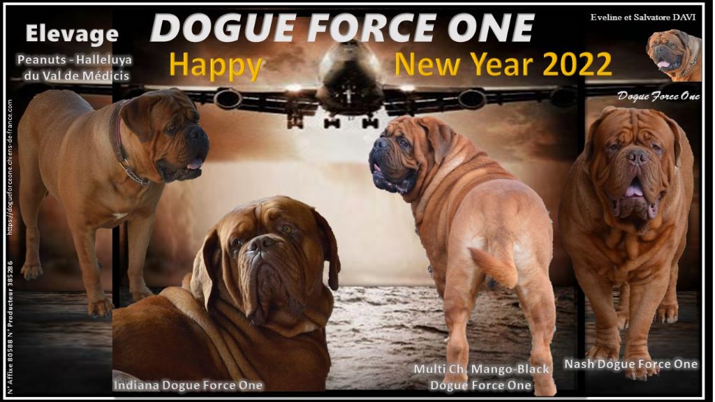 Dogue Force One - HAPPY NEW YEAR 2022