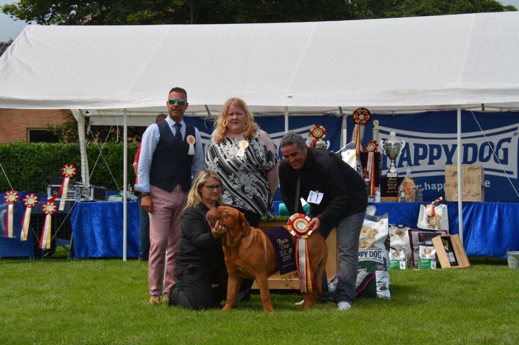 Nash Dogue Force One