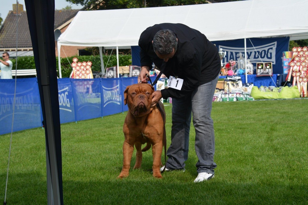 Nash Dogue Force One